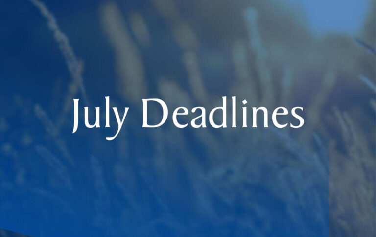 July tax Deadlines